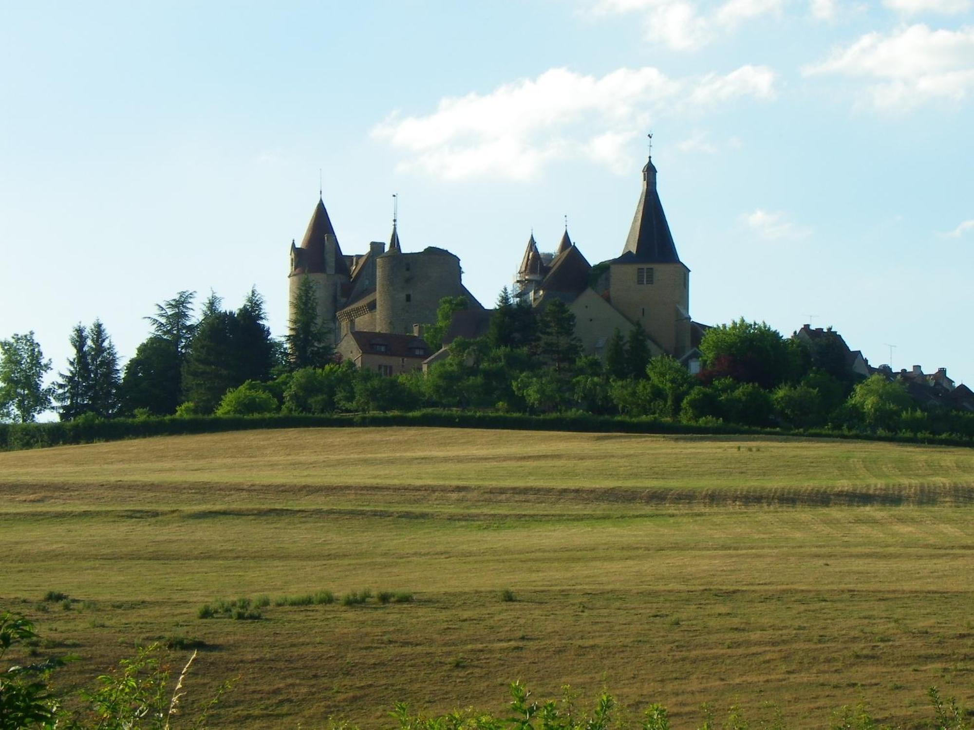 Le Cottage Du Chateau Chaudenay-le-Chateau Экстерьер фото